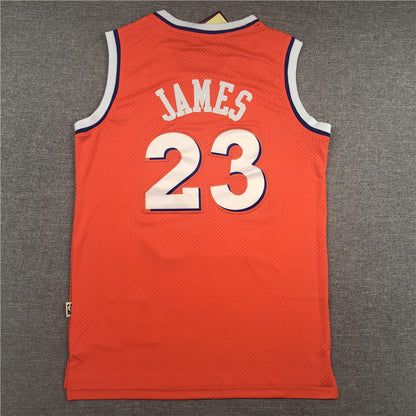 Men's Cleveland Cavaliers LeBron James Orange Hardwood Classics Swingman Jersey