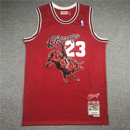 Men's Chicago Bulls Michael Jordan #23 NBA Red Hardwood Classics Authentic Jersey